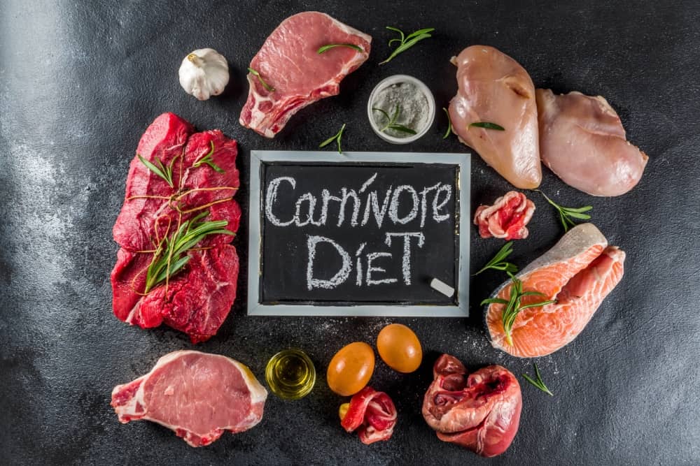carnivore dieta