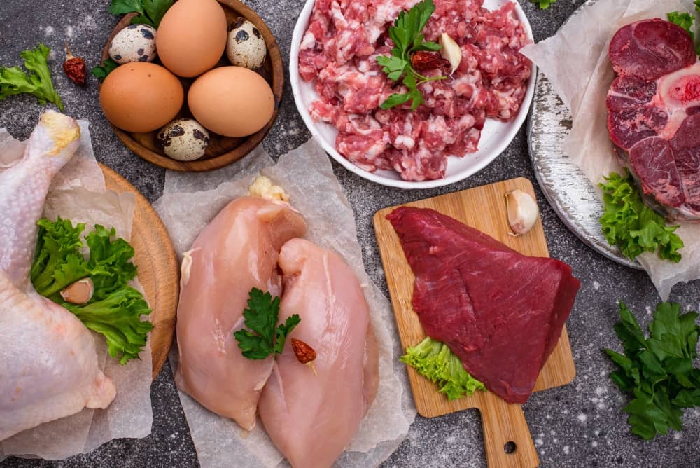 co je carnivore principy