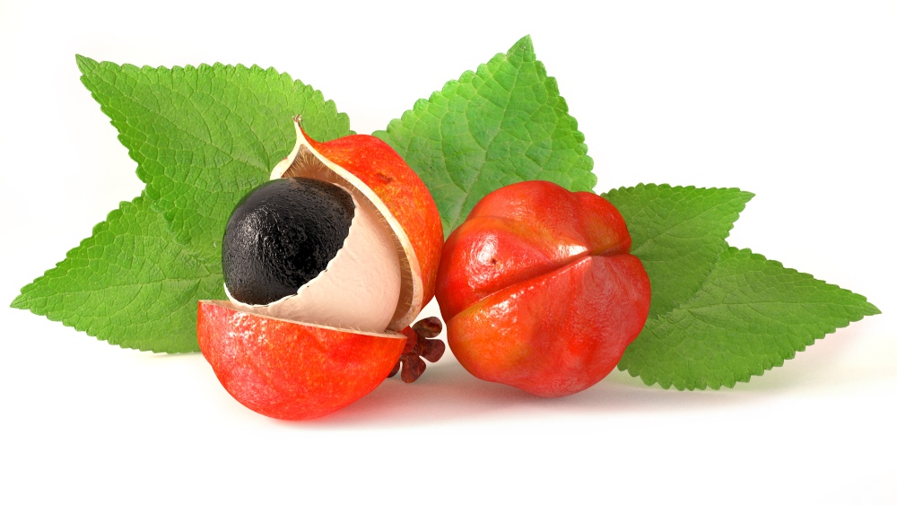Co je to guarana?